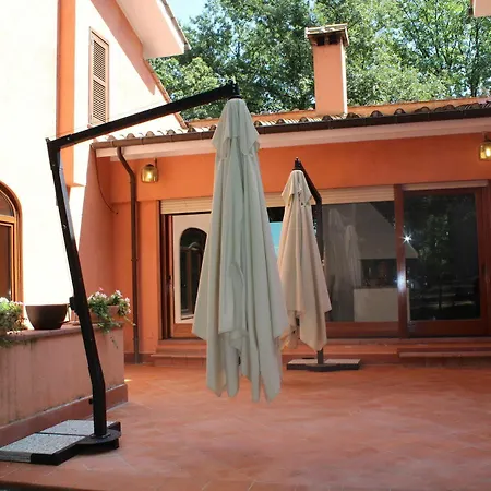 La Selvotta *
